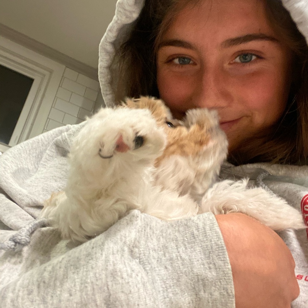 Meet your Posher, Athena